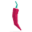 Identidade visual de Digital Spice